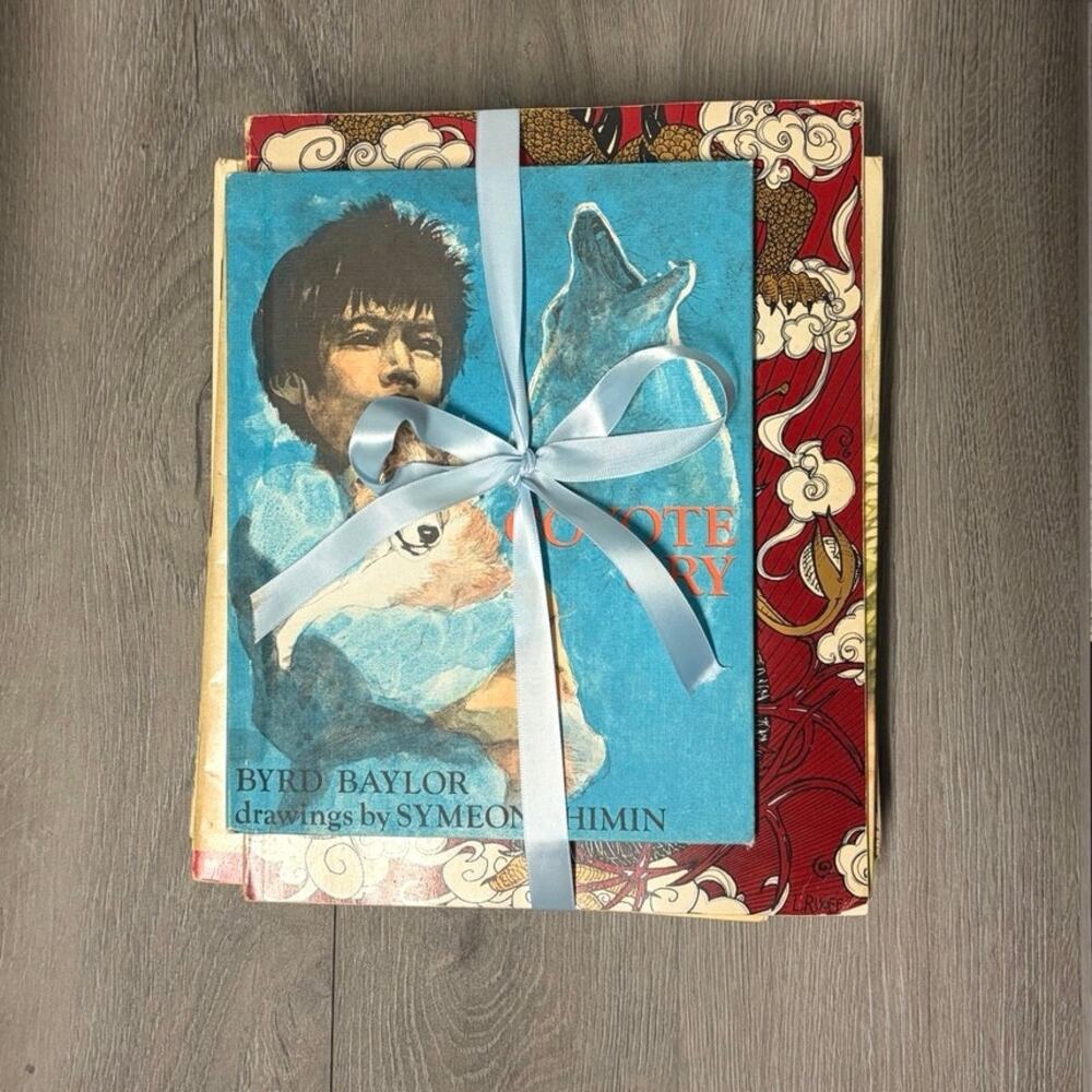 17 Vintage & Modern Children’s Picture Book Bundle
